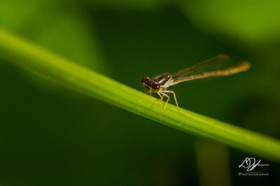 06092025001WEB.jpg
